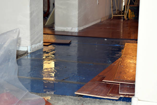 Professional Water Extraction technician working in Bunn, NC